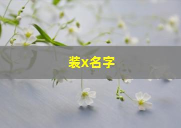 装x名字,