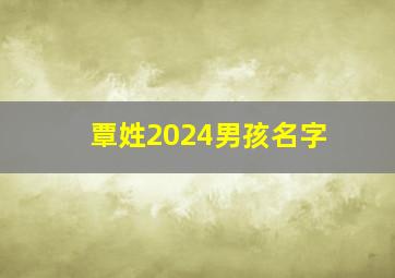 覃姓2024男孩名字