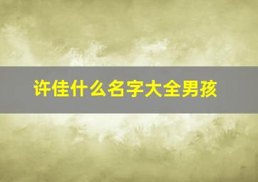 许佳什么名字大全男孩,许佳名字的含义