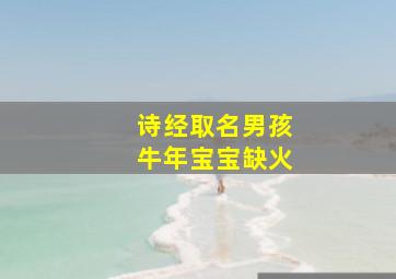 诗经取名男孩牛年宝宝缺火,诗经里大气的男孩名字推荐