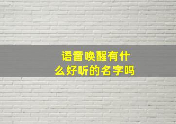 语音唤醒有什么好听的名字吗,语音唤醒都有什么小名