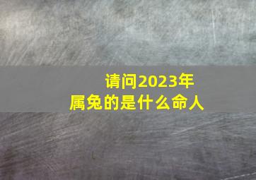 请问2023年属兔的是什么命人,2023年兔属于什么命金箔金水兔之命