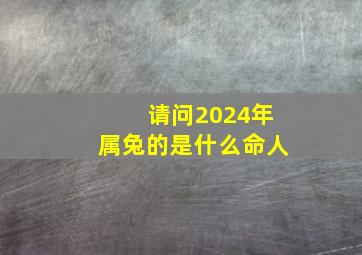 请问2024年属兔的是什么命人