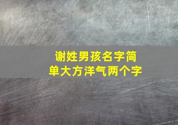 谢姓男孩名字简单大方洋气两个字,姓谢的男孩名字大全两个字