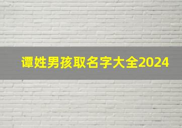 谭姓男孩取名字大全2024,谭姓男孩取名字大全2024年出生