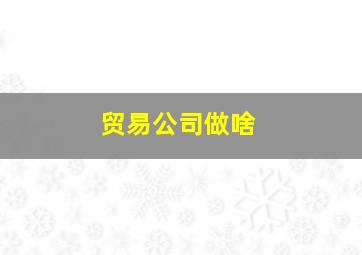 贸易公司做啥,贸易公司做啥工作的