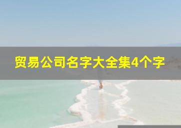 贸易公司名字大全集4个字,贸易公司名字大全集4个字怎么取