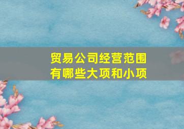 贸易公司经营范围有哪些大项和小项,商贸公司经营范围有哪些