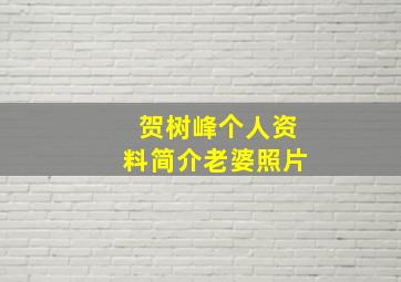 贺树峰个人资料简介老婆照片,贺树峰的真正妻子是干什么工作