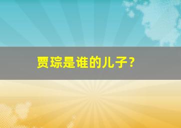 贾琮是谁的儿子？,贾琮年龄