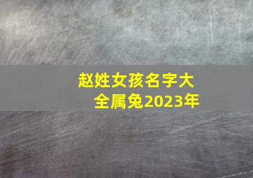 赵姓女孩名字大全属兔2023年,属兔2023年12月6日出生的女孩名字