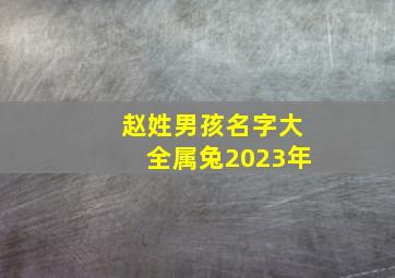 赵姓男孩名字大全属兔2023年,属兔2023年5月26日出生的男孩名字