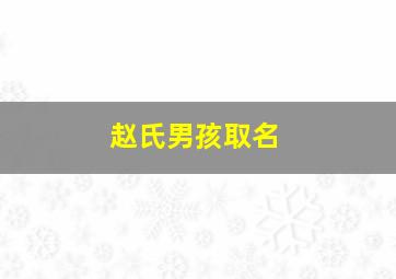 赵氏男孩取名,赵氏男孩取名寓意