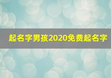 起名字男孩2020免费起名字,2020鼠年男孩起名方法和名字大全