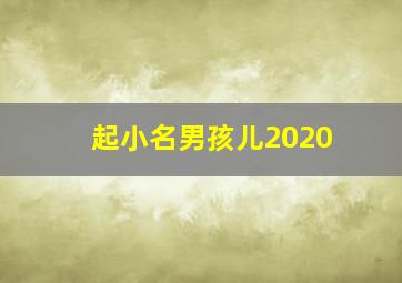 起小名男孩儿2020,2020年最火小名