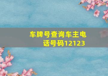 车牌号查询车主电话号码12123,车牌号查询车主电话号码多少