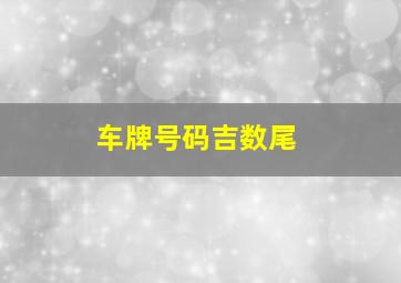 车牌号码吉数尾,车牌号尾数是几吉利