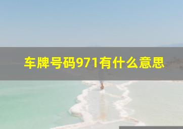 车牌号码971有什么意思