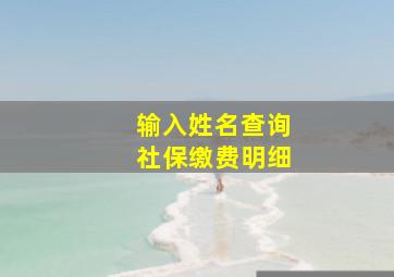 输入姓名查询社保缴费明细,输入姓名查询社保缴费明细孟宪雷