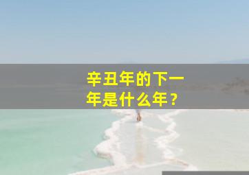 辛丑年的下一年是什么年？,辛丑年下来是什么年