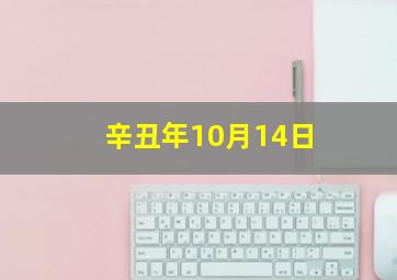 辛丑年10月14日,21年10月14号