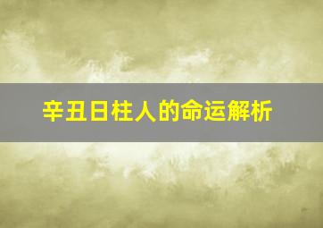 辛丑日柱人的命运解析,辛丑日柱是什么意思