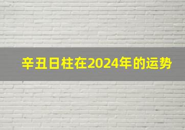 辛丑日柱在2024年的运势,辛丑日柱在2024年