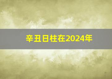 辛丑日柱在2024年,辛丑日柱在2024年的整体运势