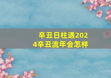 辛丑日柱遇2024辛丑流年会怎样,辛丑日主遇辛丑流年