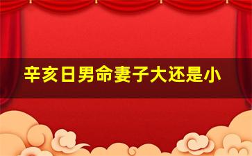 辛亥日男命妻子大还是小,辛亥日男命注定离婚