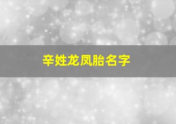 辛姓龙凤胎名字,姓辛两个字名字