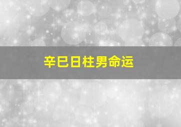 辛巳日柱男命运,辛巳日柱男命运程