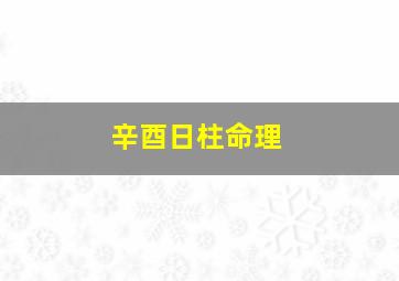 辛酉日柱命理,辛酉日柱命运