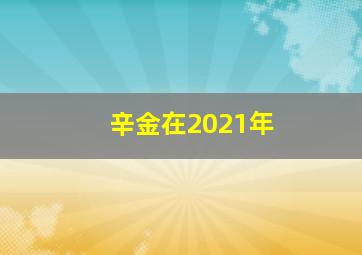 辛金在2021年,