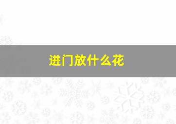 进门放什么花,进门放什么花好看好养