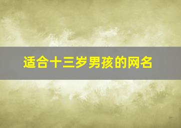 适合十三岁男孩的网名,适合13岁男孩的网名