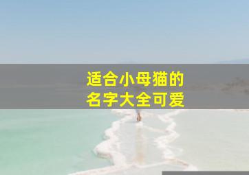 适合小母猫的名字大全可爱,适合小母猫的名字大全可爱两个字