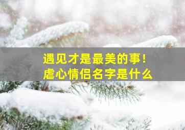 遇见才是最美的事！虐心情侣名字是什么,情侣虐心文案