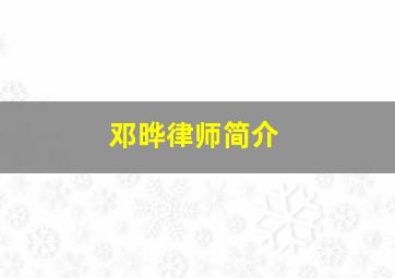 邓晔律师简介