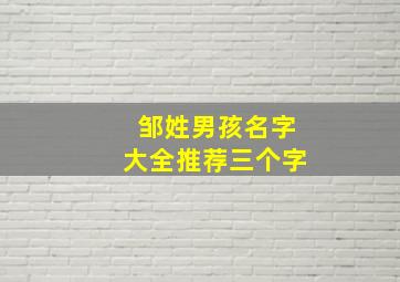 邹姓男孩名字大全推荐三个字,邹氏取名字大全男孩3个字