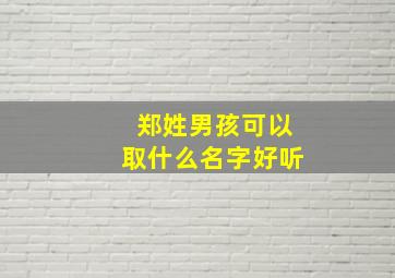 郑姓男孩可以取什么名字好听,郑姓男孩子取名字大全