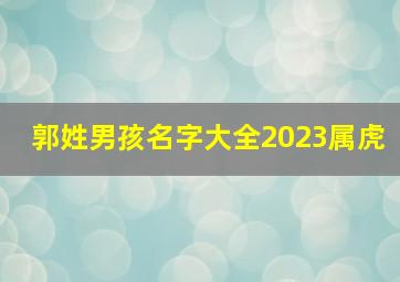 郭姓男孩名字大全2023属虎,牛年郭姓男宝宝起名鉴赏郭姓男宝宝名字大合集