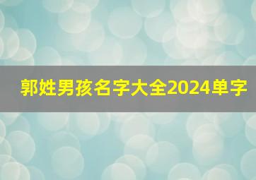 郭姓男孩名字大全2024单字,2024年郭姓男宝宝名字