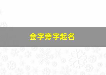 金字旁字起名,金字旁起名的字