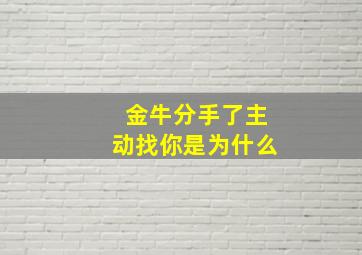 金牛分手了主动找你是为什么,金牛分手后主动联系