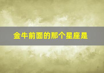 金牛前面的那个星座是,金牛前面是什么座