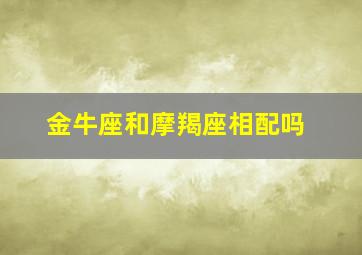 金牛座和摩羯座相配吗,金牛座和摩羯座配不配做情侣