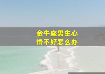 金牛座男生心情不好怎么办,金牛座男生情绪低落了该怎么安慰