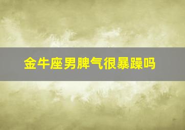 金牛座男脾气很暴躁吗,金牛男脾气性格分析