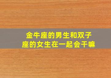 金牛座的男生和双子座的女生在一起会干嘛,金牛座男生和双子座女生在一起合适吗?